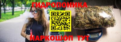 гашик Бузулук