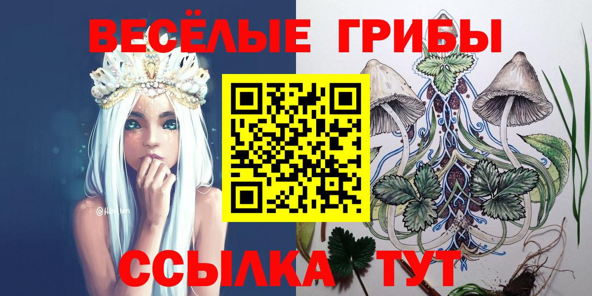 Псилоцибиновые грибы Magic Shrooms Советская Гавань