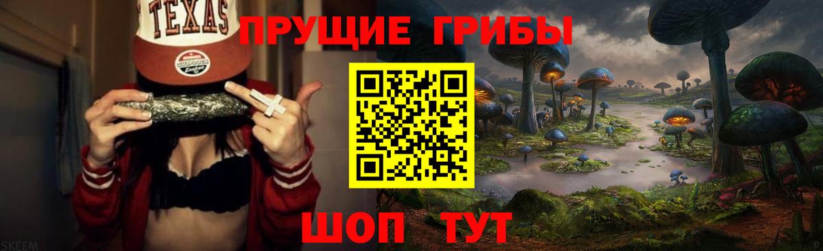Советская Гавань  Псилоцибиновые грибы Psilocybine cubensis  Вход с VPN 
